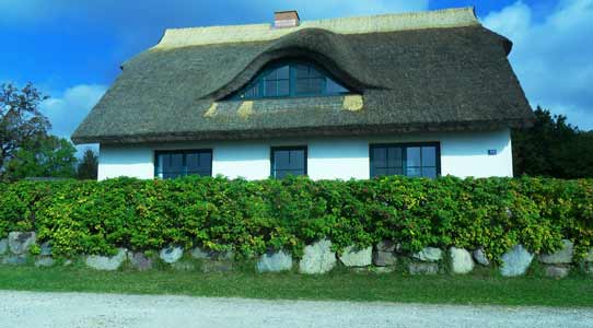 Haus Mieten Rügen Mit Hund