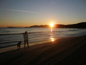 Urlaub mit Hund Ostsee Insel Rügen Sonnenaufgang